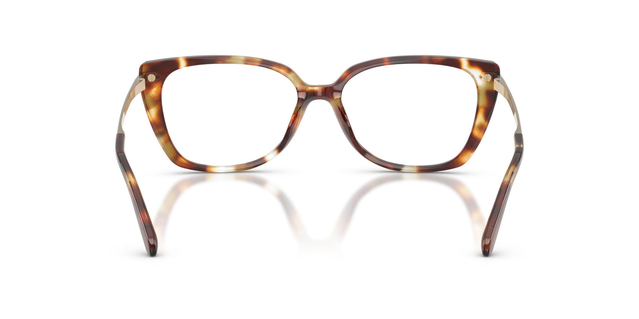 6056 - Tortoise