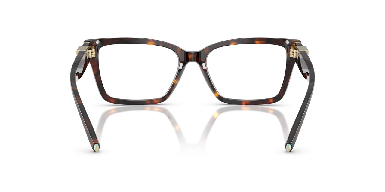 8015 - Tortoise