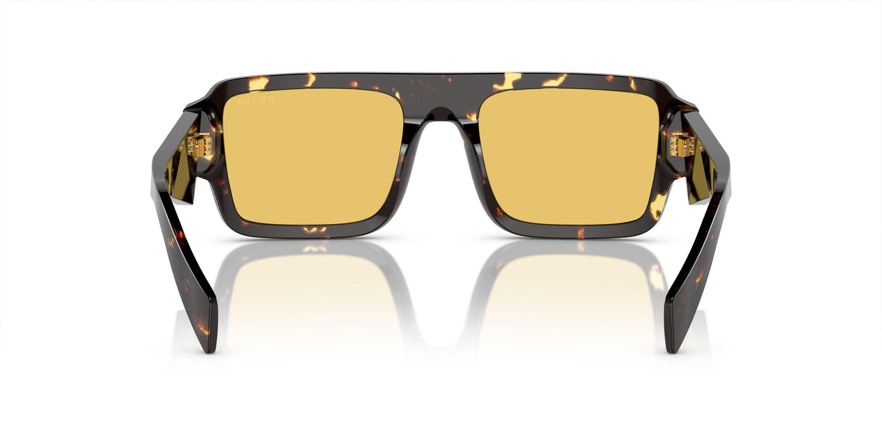 16O10C - Brown - Yellow