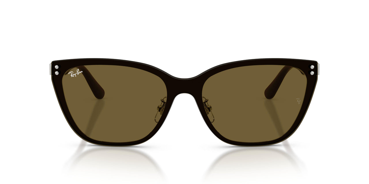 928873 - Silver - Dark Brown