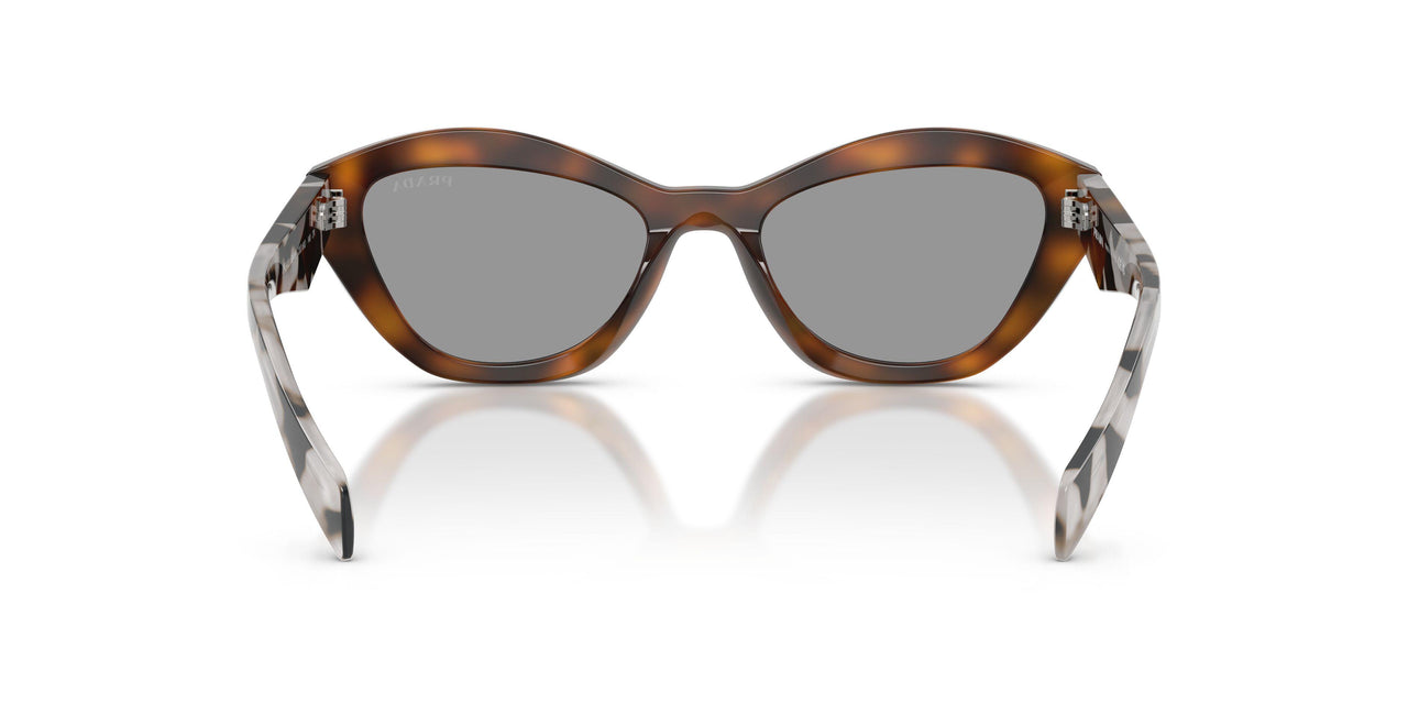 20D50Q - Havana - Grey