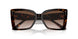 500213 - Tortoise - Gradient Brown