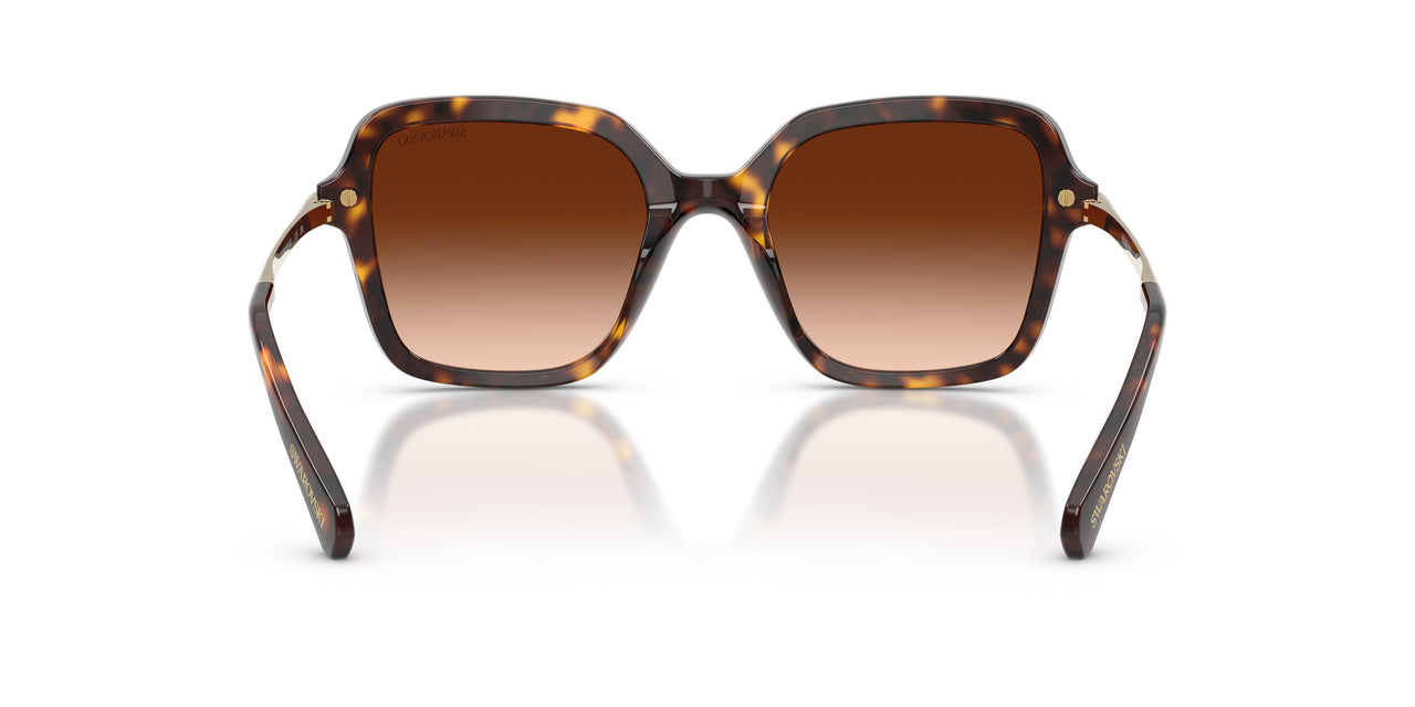 100274 - Tortoise - Gradient Brown