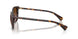 500313 - Tortoise - Gradient Brown