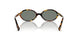 VAU04M - Tortoise - Green Mirror Internal Silver