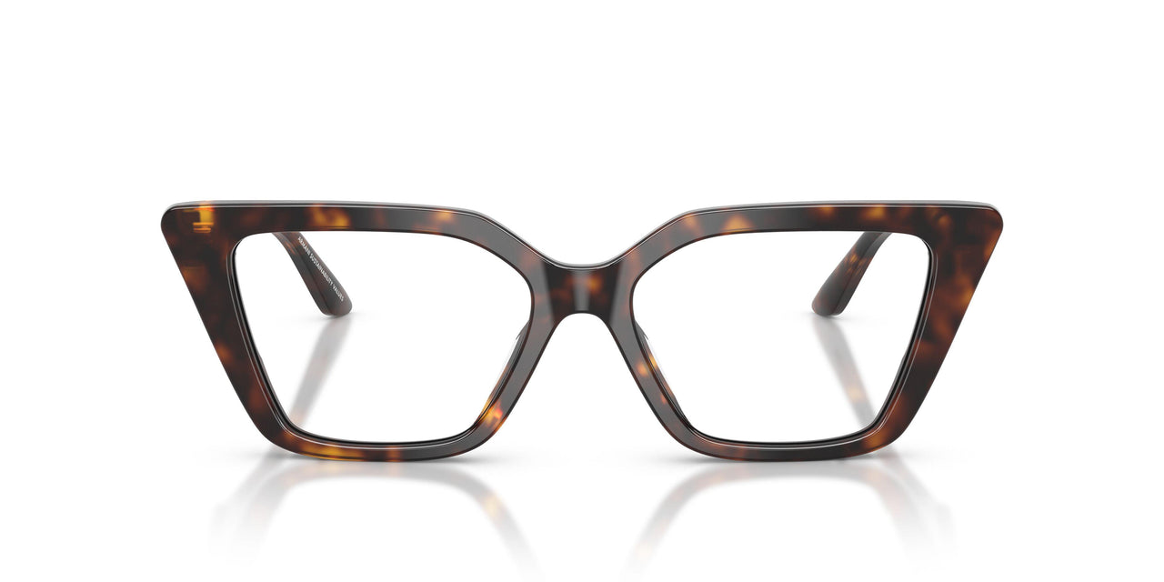 5026 - Tortoise