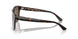 605273 - Tortoise - Dark Brown