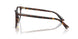 5002 - Tortoise