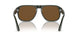 119057 - Green - Polar Brown