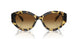 100913 - Tortoise - Brown Gradient