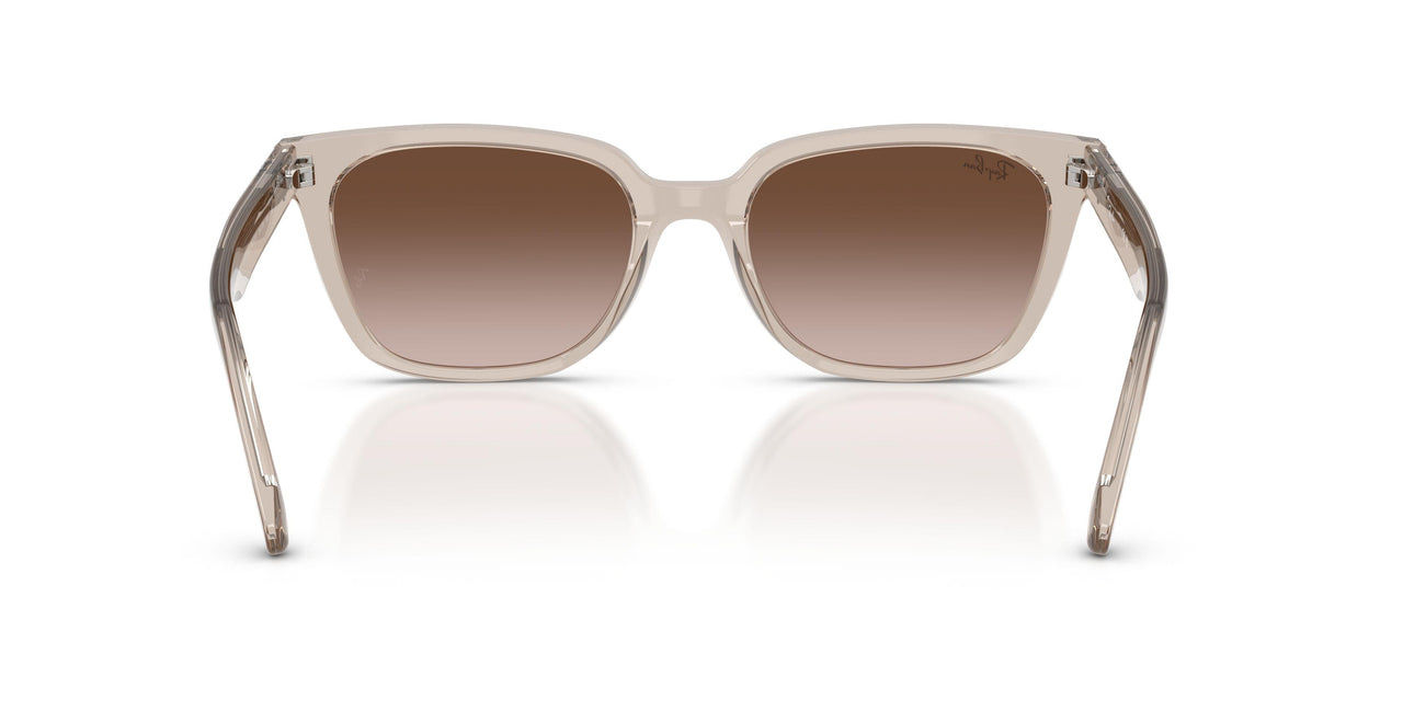 682713 - Brown - Light Brown Gradient Dark Brow