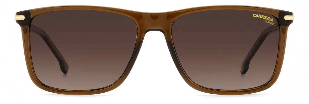 009Q-LA - BROWN - Brown Grad Polz