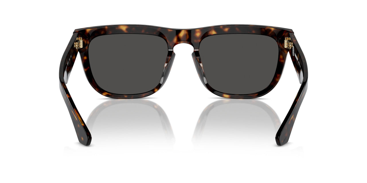 300287 - Brown - Dark Grey