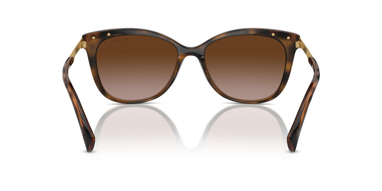 614913 - Brown - Gradient Brown