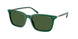Polo 4226F Sunglasses