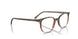 8251 - Brown - Clear