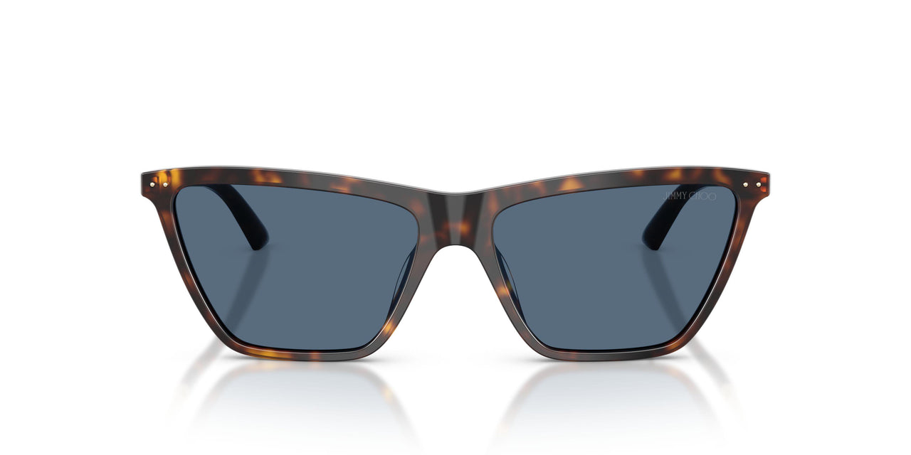 500280 - Tortoise - Dark Blue
