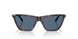 500280 - Tortoise - Dark Blue
