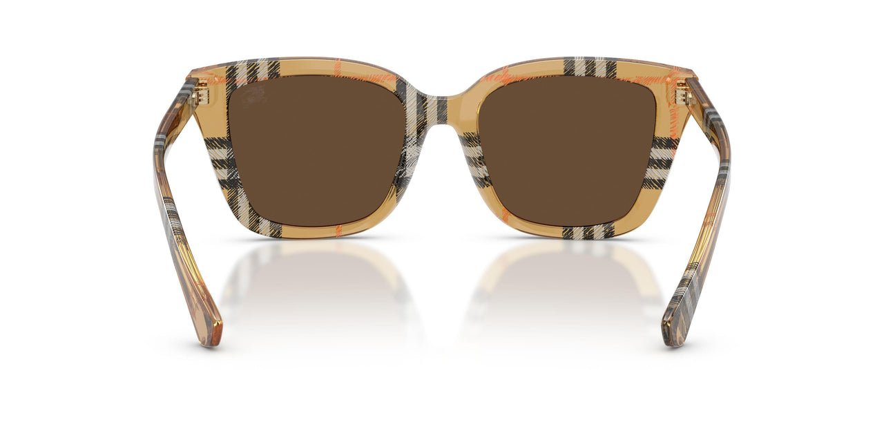 416373 - Brown - Dark Brown