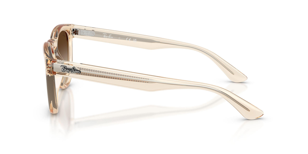 690213 - Pink - Light Brown Gradient Dark Brow