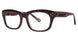 024 - Tortoise