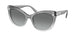 Swarovski 6020 Sunglasses