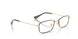 3177 - Tortoise - Clear