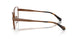 1902 - Brown