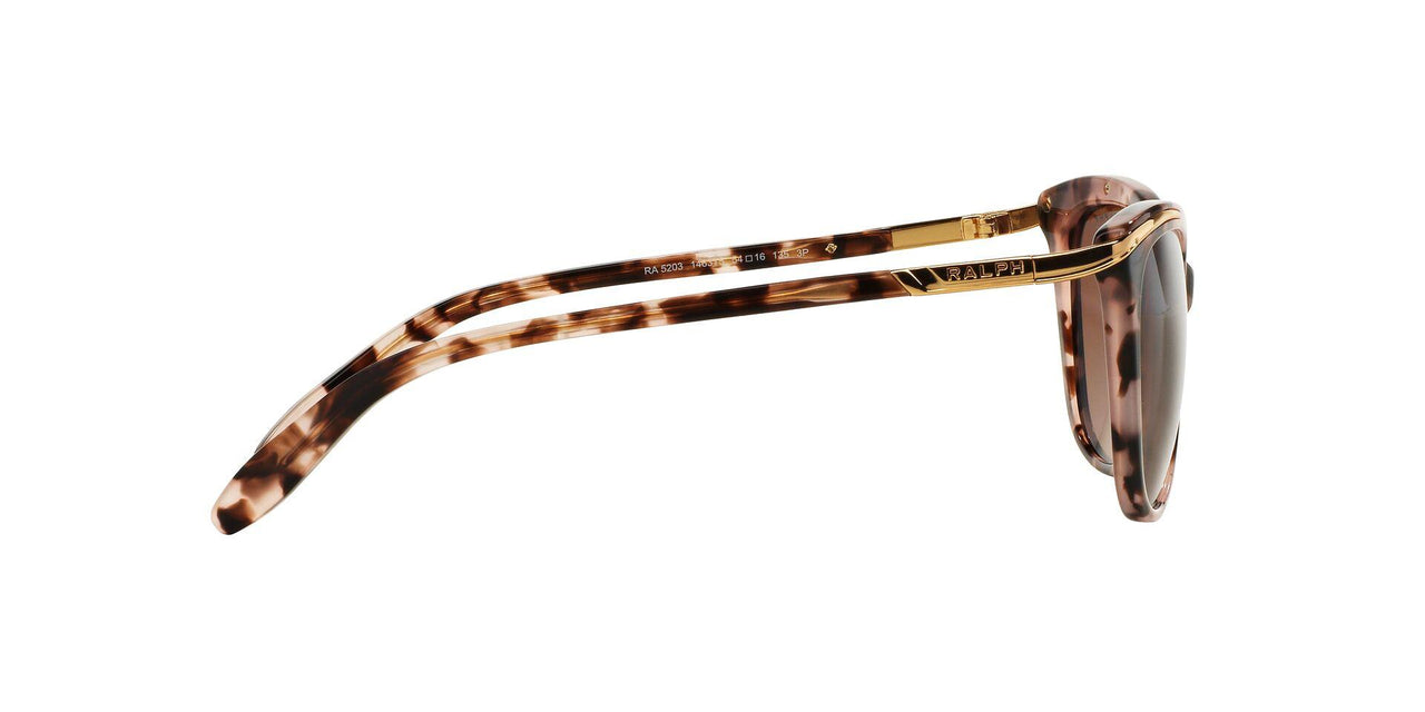 1463T5 - Havana - Brown Gradient Polarized
