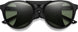 20672880753L7 - Black - Chromapop Polarized Gray Green