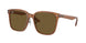 663673 - Brown - Dark Brown