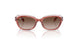 717313 - Pink - Gradient Brown