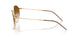 001/CB - Gold - Clear Gradient Brown