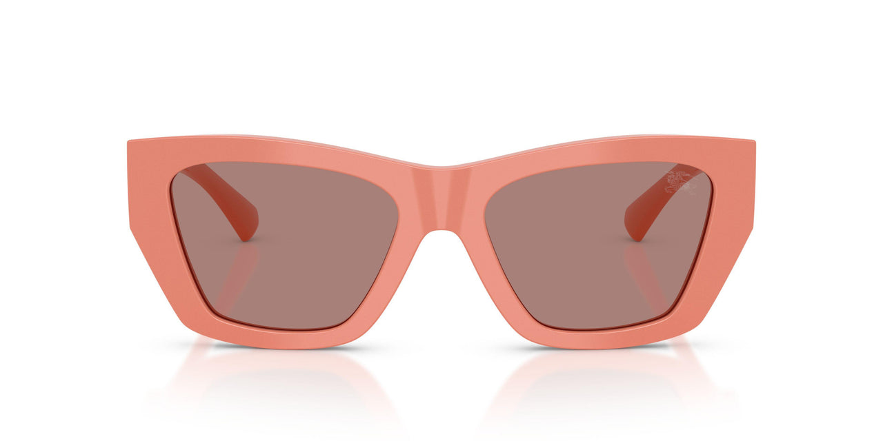 421973 - Pink - Light Brown