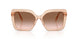 106313 - Brown - Gradient Brown