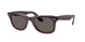 Ray-Ban Wayfarer 2140 Sunglasses
