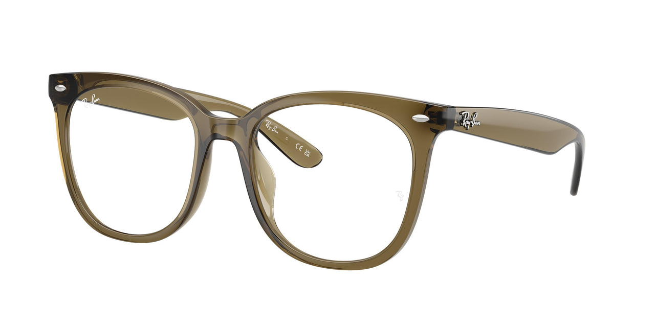 Ray-Ban 4379VD Eyeglasses