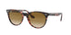 12934E - Light Havana On Trasp Yellow - Bottle Green
