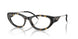2017 - Tortoise