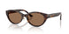 Jimmy Choo 5064D Sunglasses