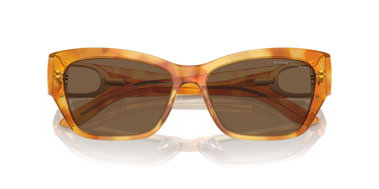 605173 - Tortoise - Brown