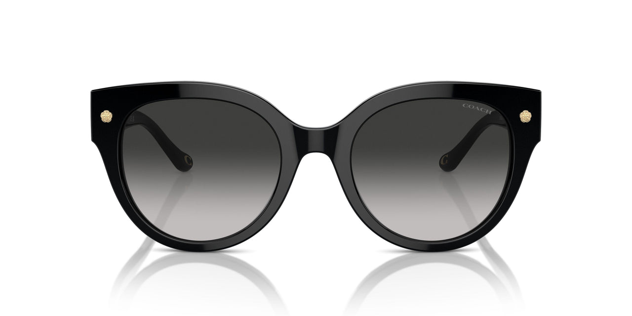 50023C - Black - Grey Gradient
