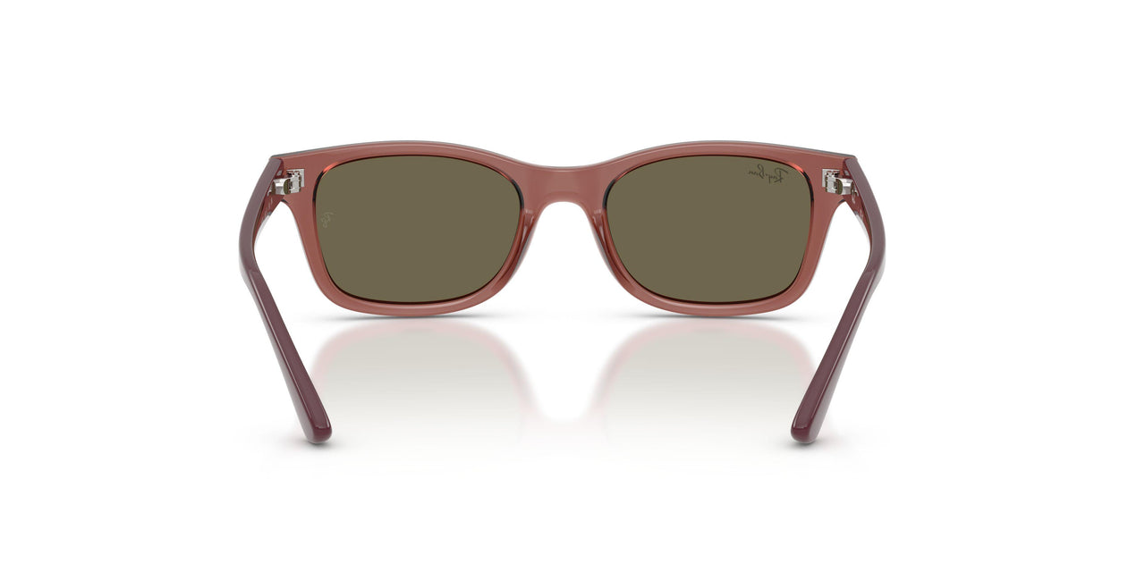 7197/3 - Violet - Brown
