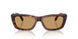 27L10Y - Tortoise - Brown