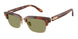 Giorgio Armani 8243 Sunglasses