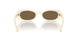316773 - White - Dark Brown