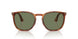 96/GJ - Brown - Transitions 8 Green