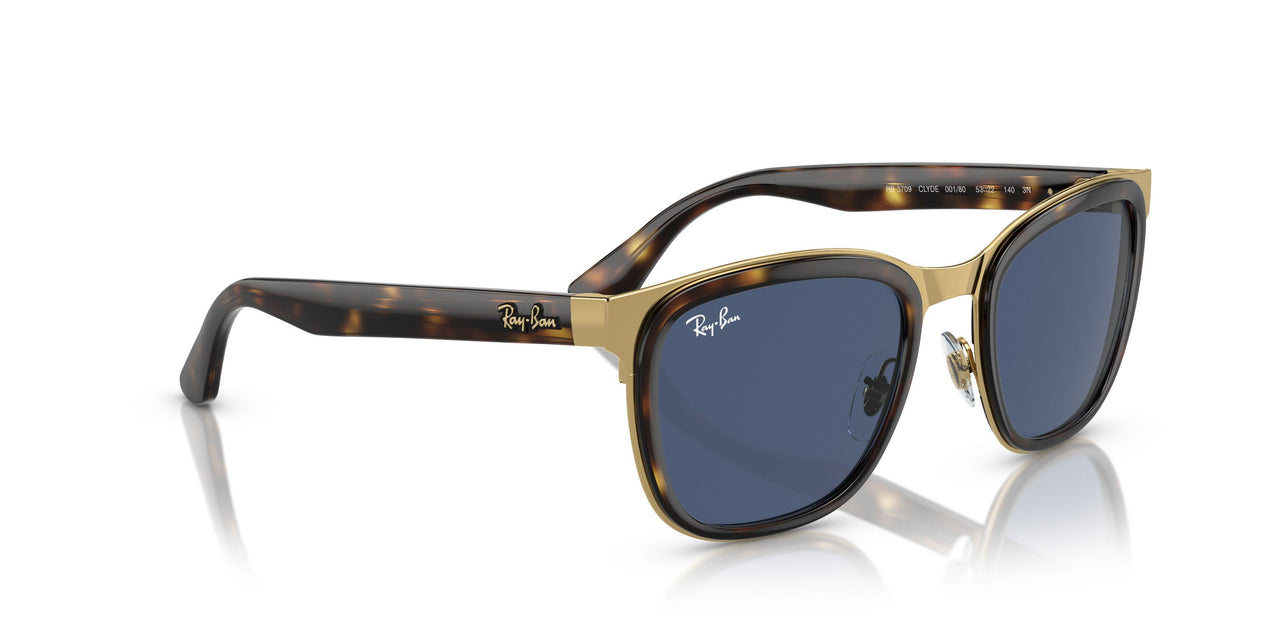 001/80 - Tortoise - Dark Blue