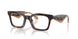 5026 - Tortoise