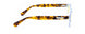 08701 - Crystal Tortoise - Amber
